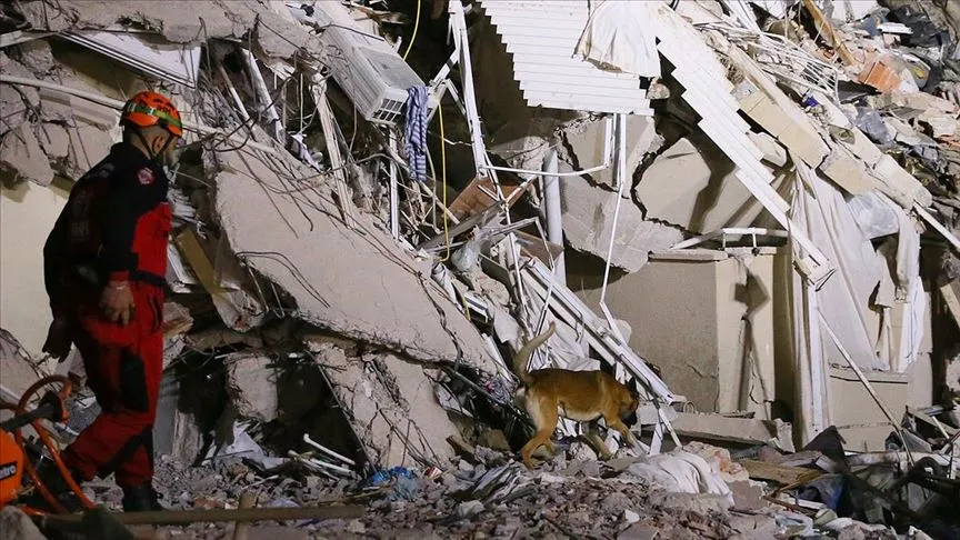 Arama kurtarma köpeklerinin önemi, 1999 yılında meydana gelen Gölcük depremiyle