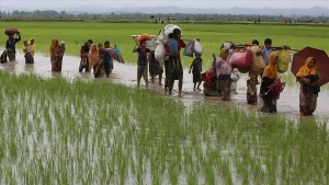 Örgütten yapılan açıklamada, elde edilen yeni deliller ışığında, Myanmarlı yetkililerin,