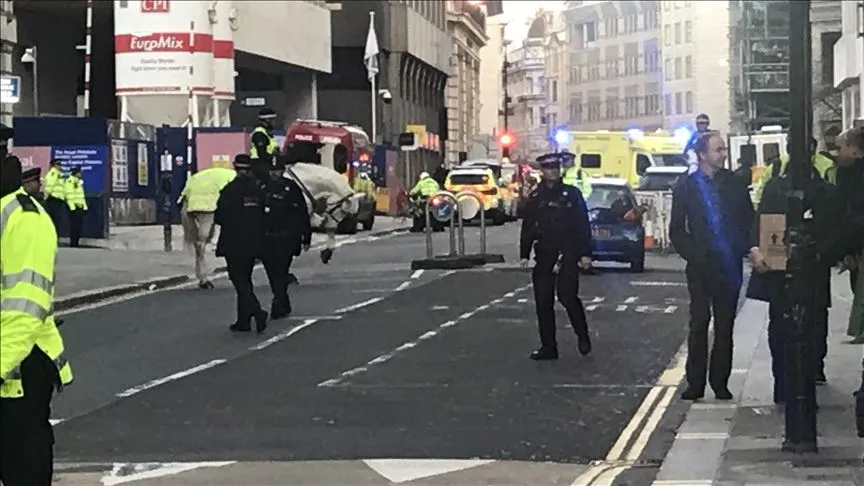 İngiltere'nin başkenti Londra'daki bıçaklı saldırıda 2 kişinin öldüğü, 3 kişinin