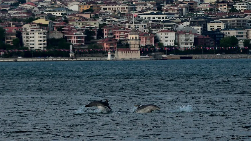 İstanbul Üniversitesi (İÜ) Su Bilimleri Fakültesi Öğretim Üyesi ve Türk