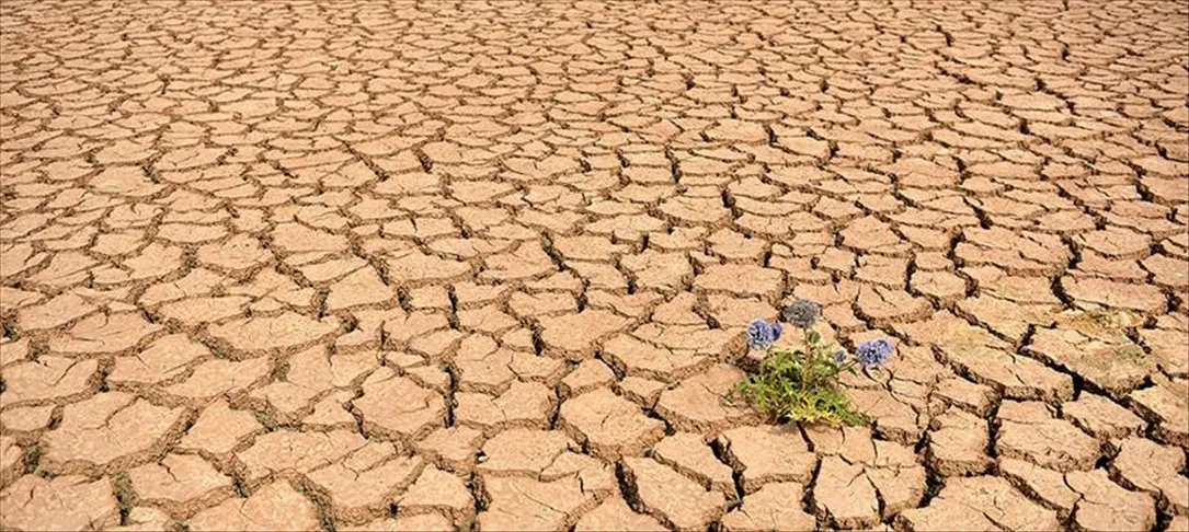 Birleşmiş Milletler Çevre Programı (UNEP), "Yeni tip koronavirüs (Kovid-19) salgını