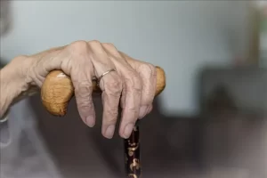 Aile, Çalışma ve Sosyal Hizmet Bakanlığından yapılan açıklamaya göre, genelgede