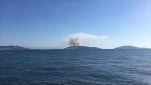 Heybeliada'da ormanlık alanda iki farklı noktada çıkan yangına itfaiye ekipleri