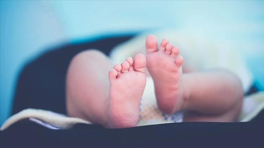 İçişleri Bakanlığı Nüfus ve Vatandaşlık İşleri Genel Müdürlüğünden aldığı verilere