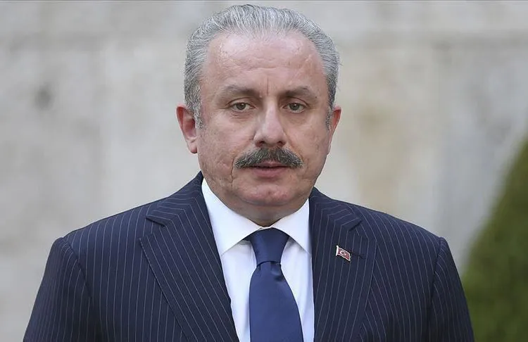 TBMM Başkanı Mustafa Şentop, Yunanistan'ın kendi imkanlarına gücüne bakmaksızın Doğu