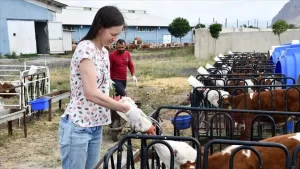 Dünyanın öbür ucu olarak nitelendirilen Avustralya'da muhasebecilik yapan Alyssa Dunn,
