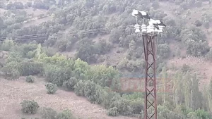 Balıkesir'in Sındırgı ilçesinde, göç yolları üzerinde bulunan yüksek gerilim hatlarına