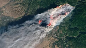 ABD'nin California eyaletinde etkili olan yangınlarda hayatını kaybedenlerin sayısı 76'ya