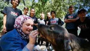 İzmir'deki lise öğrencileri okullarında 5 kedi, 3 köpek, 3 tavuk,
