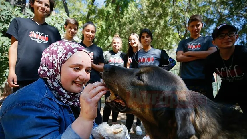 İzmir'deki lise öğrencileri okullarında 5 kedi, 3 köpek, 3 tavuk,