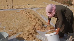 Kahramanmaraş'ın Afşin ilçesine bağlı Gerger Mahallesi'nde yaşayan 6 çocuk annesi