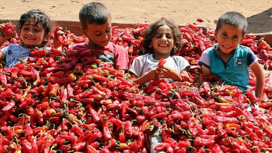 Zengin yemek kültürüyle Türkiye'nin öne çıkan kentlerinden Şanlıurfa'da, tadı, rengi