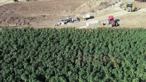 Almanya Çevre Bakanı Svenja Schulze, düzenlediği basın toplantısında, Almanya Çevre