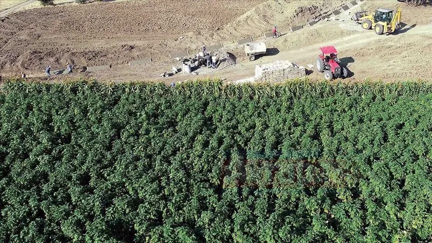 Almanya Çevre Bakanı Svenja Schulze, düzenlediği basın toplantısında, Almanya Çevre