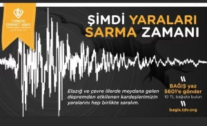 Türkiye Diyanet Vakfı, 6,8 şiddetinde depremin meydana geldiği Elazığ başta