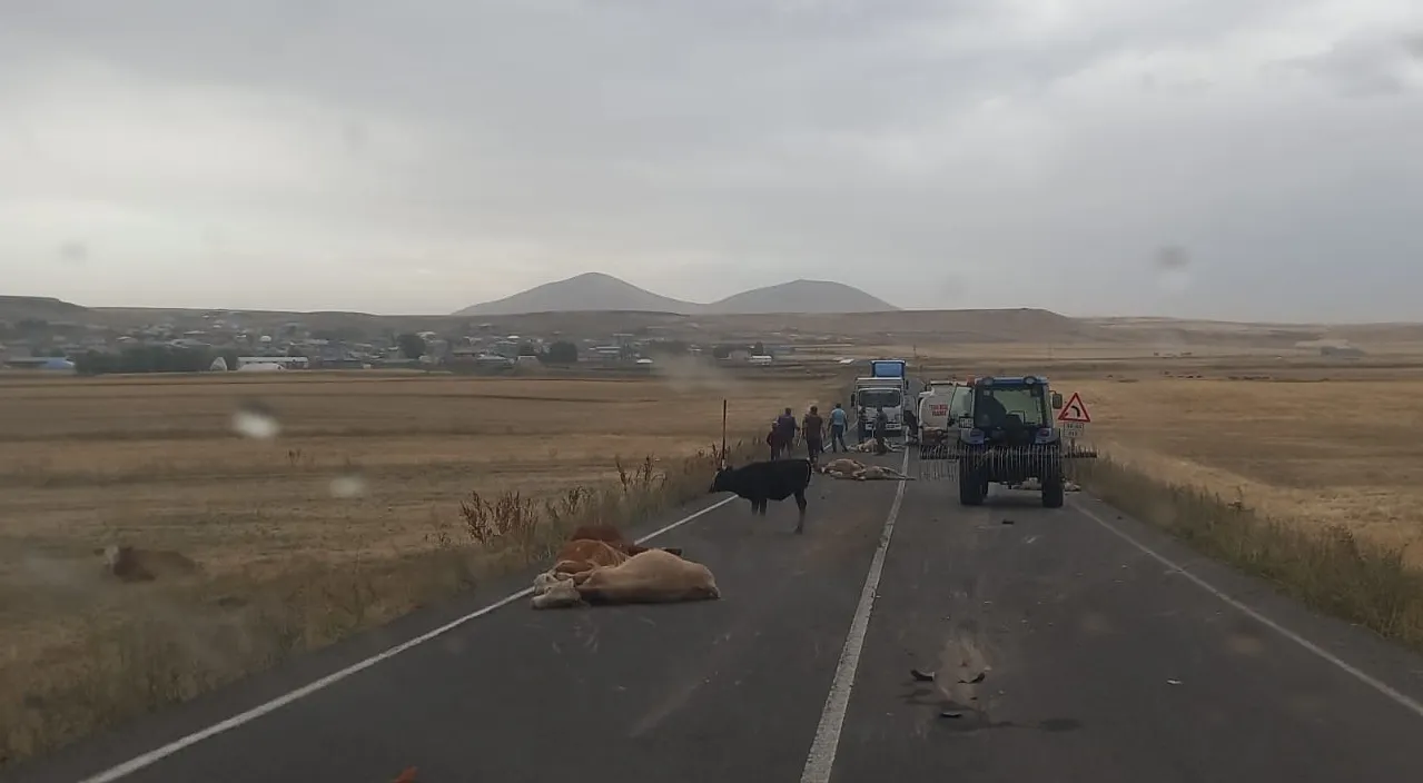 Kars'ın Selim ilçesinde su tankerinin sürüye çarptığı kazada biri çocuk