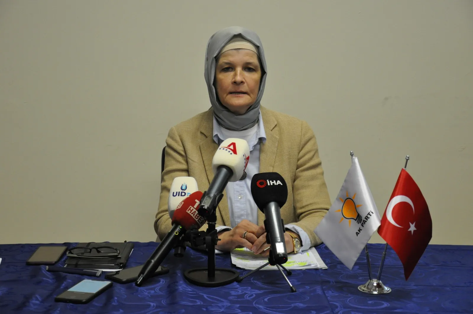 AK Parti Almanya Temsilcisi Meryem Göka, Türkiye'nin dış politika gelişmeleri,