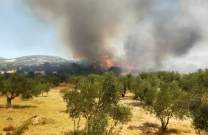 Çanakkale'nin Ezine ilçesinde çıkan orman yangını, ekiplerin havadan ve karadan