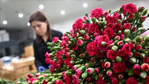 Anneler Günü için Türkiye’den 30 ülkeye 75 milyon dalın üzerinde