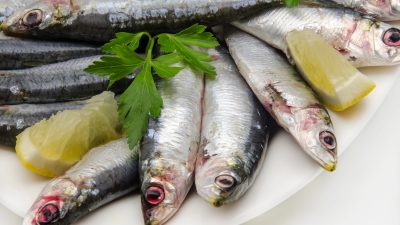 Son 10 yılda Türkiye denizlerinde en çok avlanan balık türü