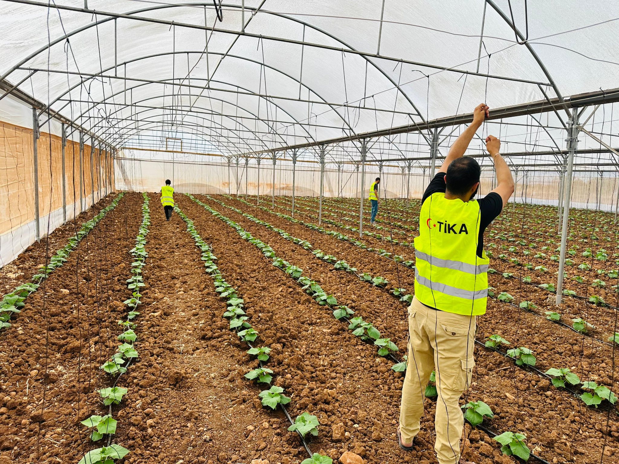 Türk İşbirliği ve Koordinasyon Ajansı Başkanlığı (TİKA), Filistin’in Cenin kentinde