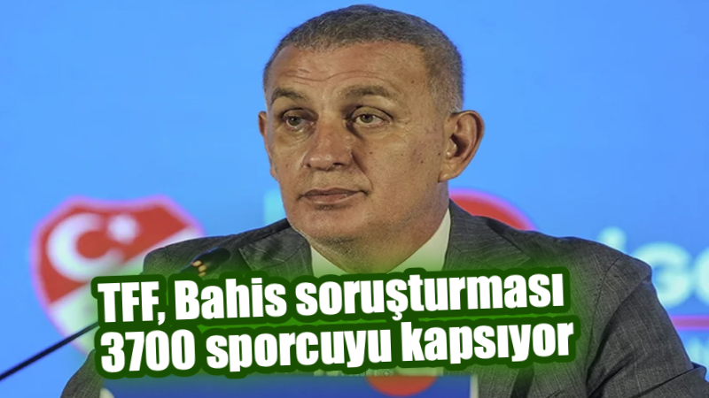 Ana Sayfa 337 Türkiye Futbol Federasyonu (TFF) Başkanı